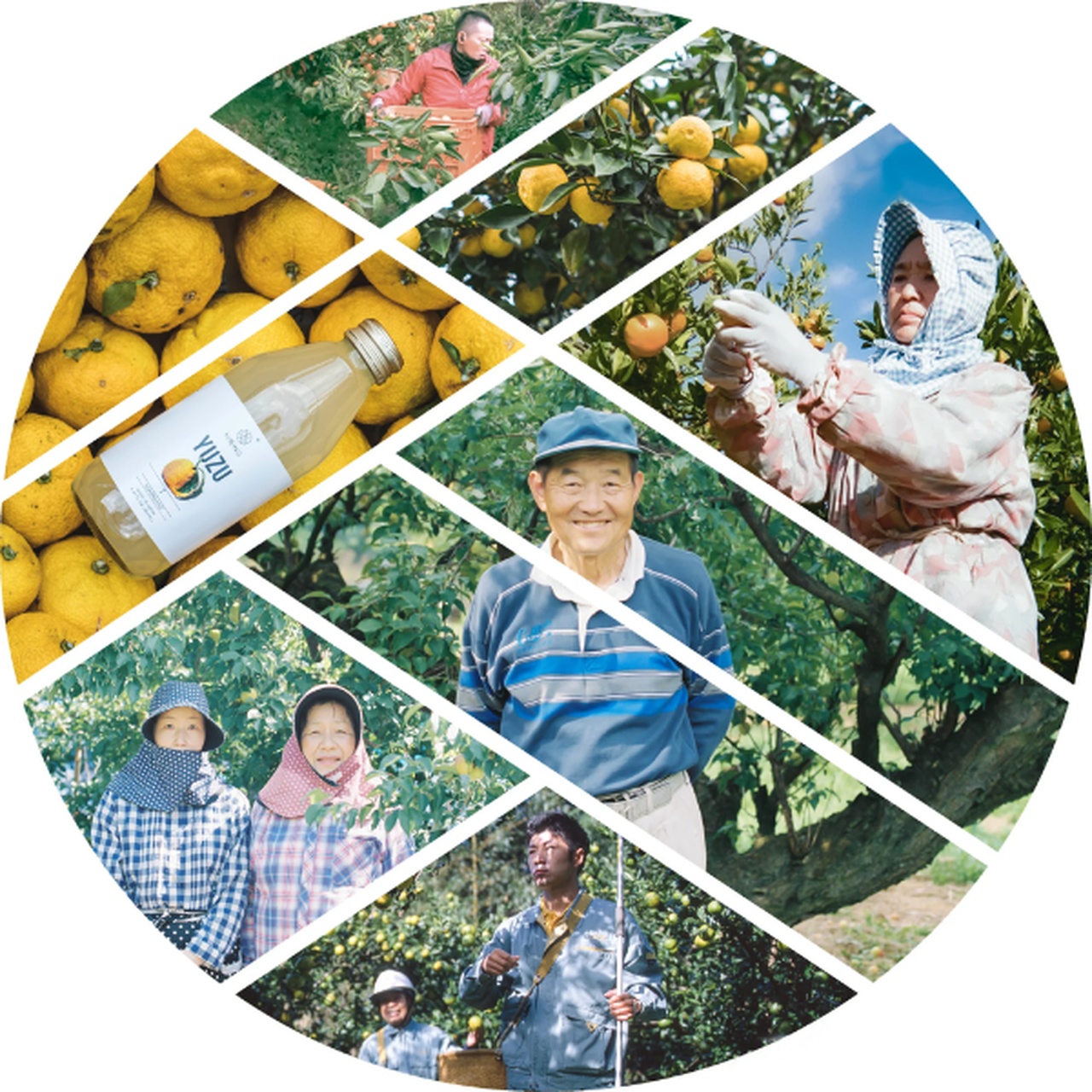 kollage von japanischen farmernm